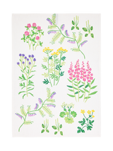 80072-5502-02-10; Finlayson Joutomaa Keittiöpyyhe Monivärinen / 50x70 cm
