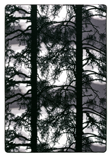 109409-69; Finlayson Kelohonka Keskilattiamatto Harmaa / 160x230 cm