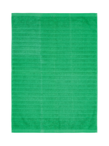 70012-0004-01-01_1; Finlayson Reilu Käsipyyhe Vihreä / 50x70 cm